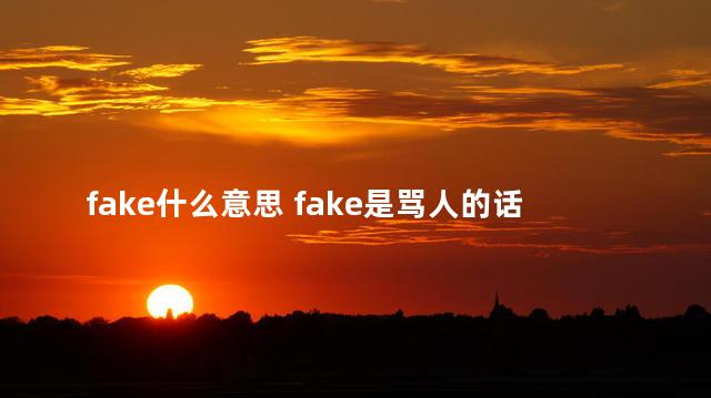 fake什么意思 fake是骂人的话吗